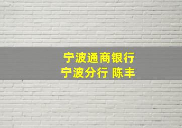 宁波通商银行宁波分行 陈丰